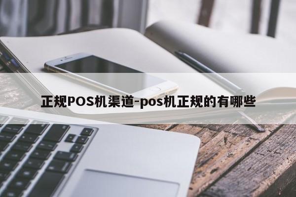 漳县正规POS机渠道-pos机正规的有哪些